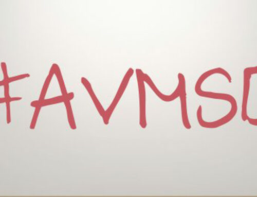 Press Release: European Parliament Votes for Media Literacy