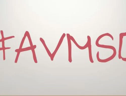 Press Release: European Parliament Votes for Media Literacy