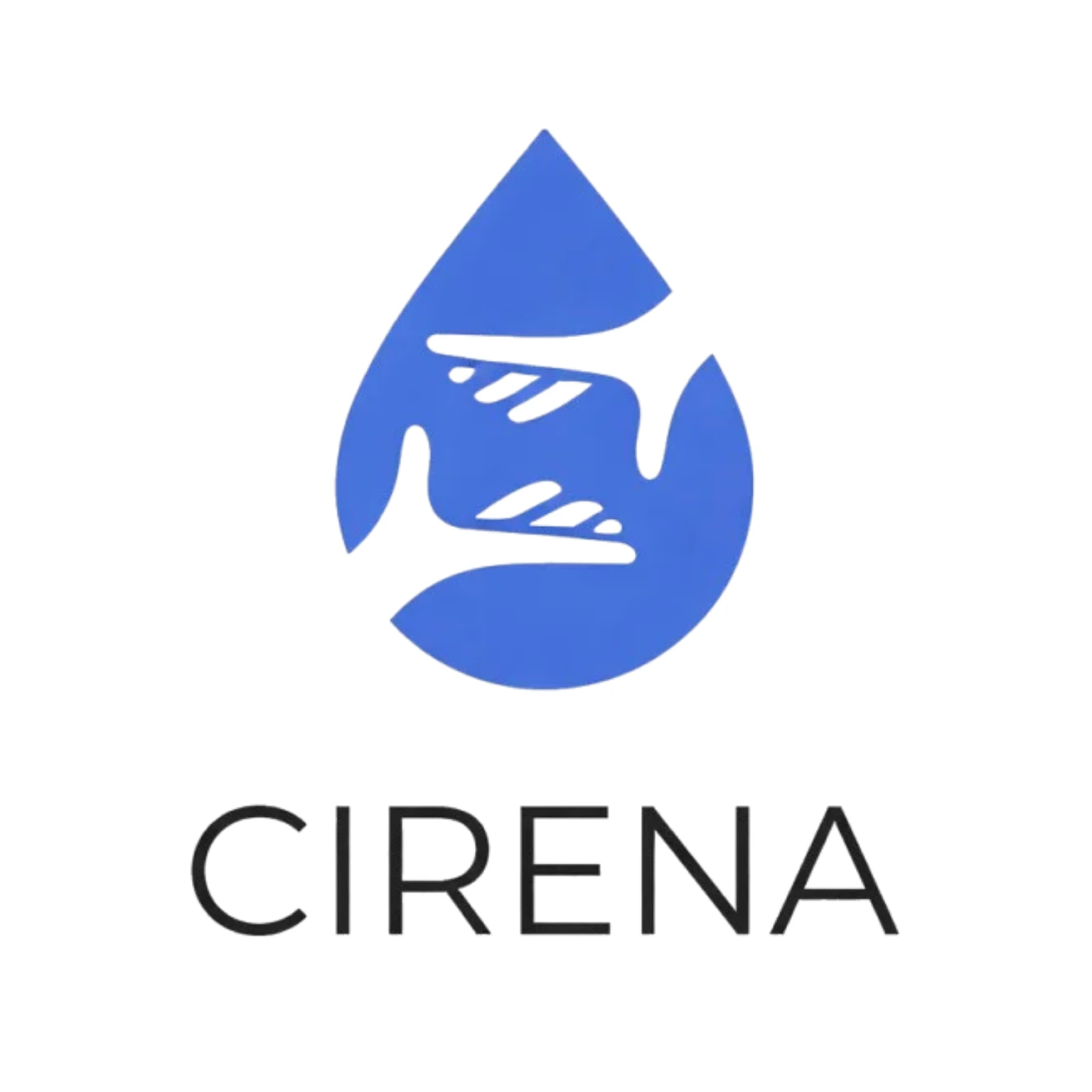 CIRENA_1536_1536 CIRENA